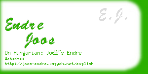 endre joos business card